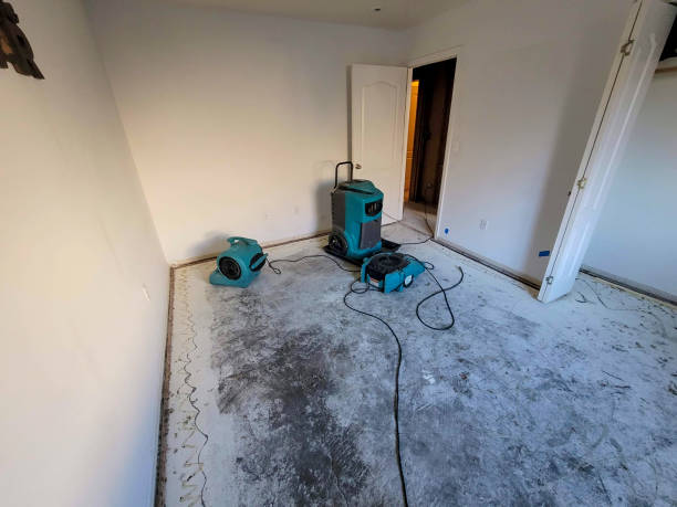 Best Flooded house restoration  in Henryville, IN