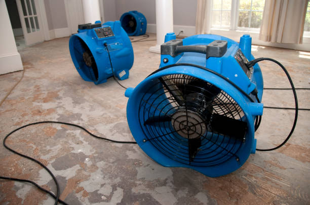 Best Water damage restoration near me  in Henryville, IN