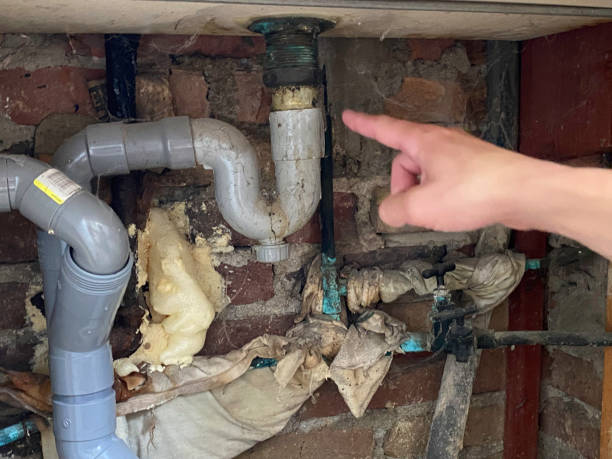 Best Professional water damage repair  in Henryville, IN