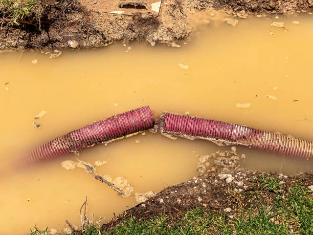 Best Water damage contractors near me  in Henryville, IN
