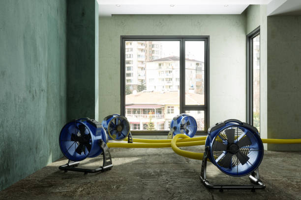 Best Water damage restoration cost  in Henryville, IN
