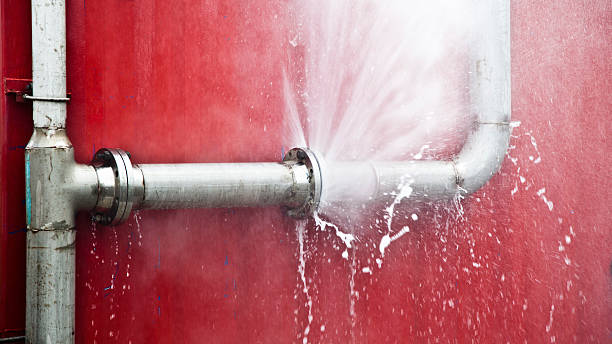 Best Flood damage cleanup  in Henryville, IN