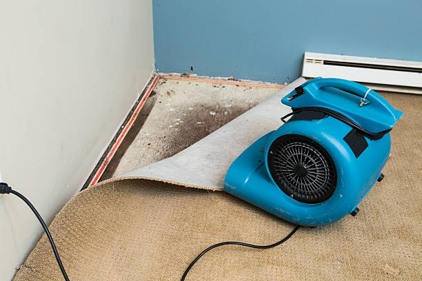 Best Emergency water damage restoration  in Henryville, IN